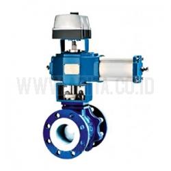 Ball Control Valve