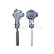 Paddle Type Flow Switch