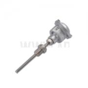 Integrated Temperature Transmitter