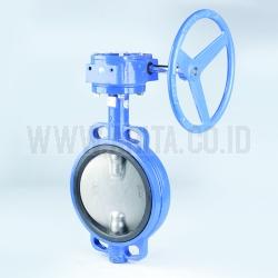 Butterfly Valve