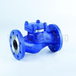 Check Valve